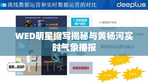 WED明星缩写揭秘与黄杨河实时气象播报