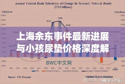 上海余东事件最新进展与小孩尿垫价格深度解析