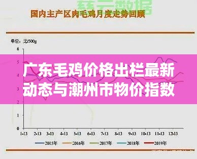 广东毛鸡价格出栏最新动态与潮州市物价指数分析，市场趋势预测实时查询