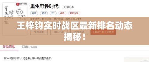 王梓钧实时战区最新排名动态揭秘!
