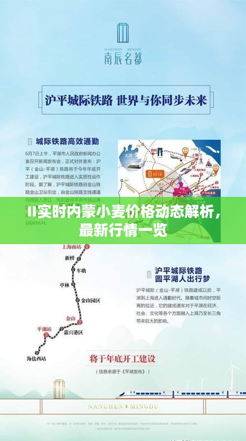 II实时内蒙小麦价格动态解析，最新行情一览