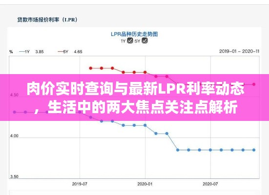 肉价实时查询与最新LPR利率动态，生活中的两大焦点关注点解析