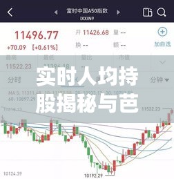 实时人均持股揭秘与芭堤雅最新景点探秘