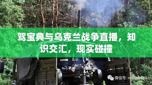 驾宝典与乌克兰战争直播,知识交汇,现实碰撞