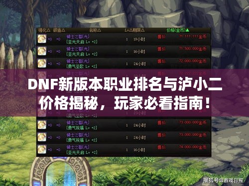 DNF新版本职业排名与泸小二价格揭秘,玩家必看指南!