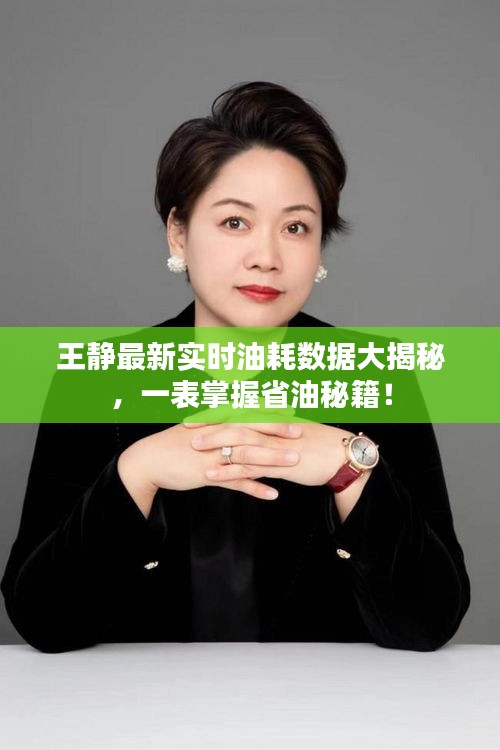 王静最新实时油耗数据大揭秘，一表掌握省油秘籍！