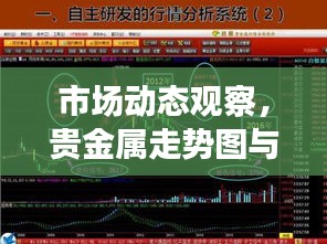 市场动态观察,贵金属走势图与洒水车价格揭秘