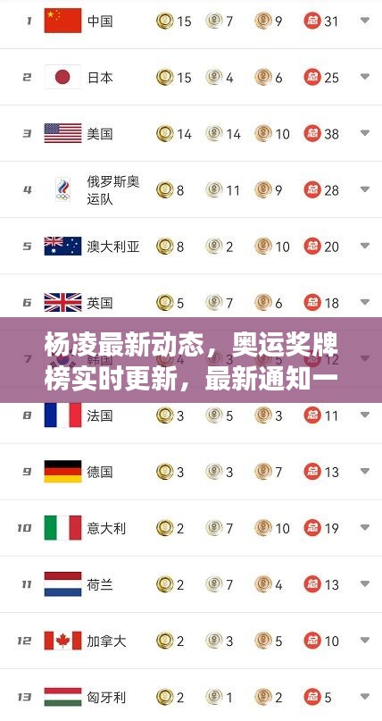 杨凌最新动态,奥运奖牌榜实时更新,最新通知一网打尽!