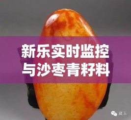 新乐实时监控与沙枣青籽料揭秘,独特特征、价格走势一网打尽