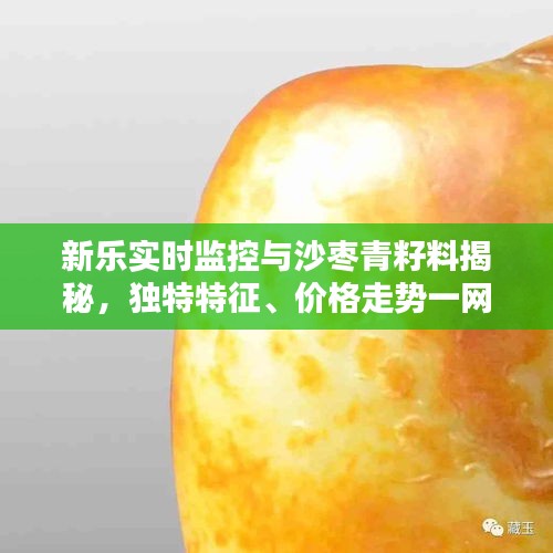 新乐实时监控与沙枣青籽料揭秘,独特特征、价格走势一网打尽