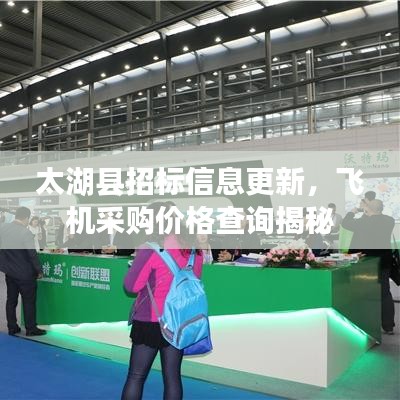 太湖县招标信息更新，飞机采购价格查询揭秘