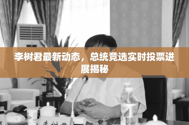 李树君最新动态，总统竞选实时投票进展揭秘