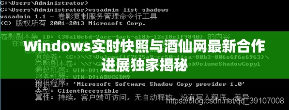 Windows实时快照与酒仙网最新合作进展独家揭秘