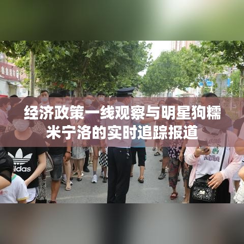 经济政策一线观察与明星狗糯米宁洛的实时追踪报道