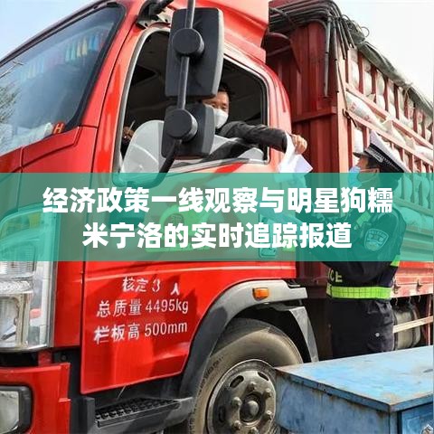 经济政策一线观察与明星狗糯米宁洛的实时追踪报道