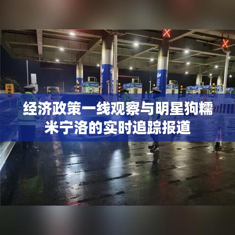 经济政策一线观察与明星狗糯米宁洛的实时追踪报道