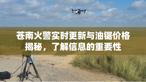 苍南火警实时更新与油锯价格揭秘，了解信息的重要性