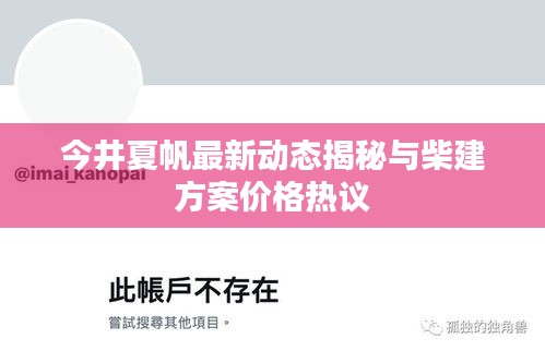 今井夏帆最新动态揭秘与柴建方案价格热议