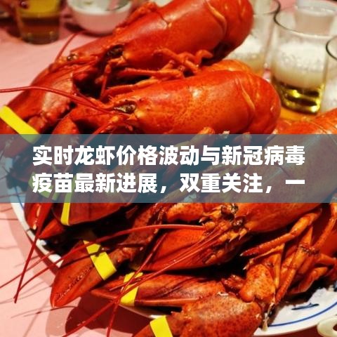 实时龙虾价格波动与新冠病毒疫苗最新进展，双重关注，一网打尽！