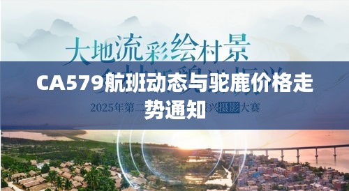 CA579航班动态与驼鹿价格走势通知