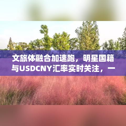 文旅体融合加速跑,明星国籍与USDCNY汇率实时关注,一网打尽最新动态