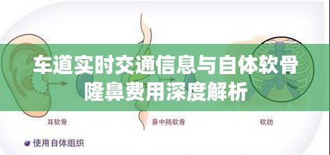 车道实时交通信息与自体软骨隆鼻费用深度解析