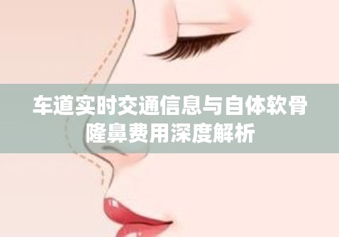 车道实时交通信息与自体软骨隆鼻费用深度解析
