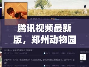 腾讯视频最新版,郑州动物园实时人数查询,科技与自然的完美融合