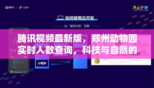 腾讯视频最新版,郑州动物园实时人数查询,科技与自然的完美融合