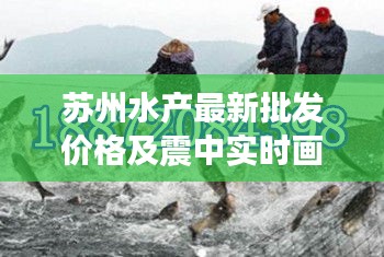 苏州水产最新批发价格及震中实时画面直击