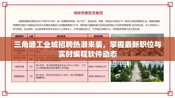 三角塘工业城招聘热潮来袭,掌握最新职位与实时编程软件动态