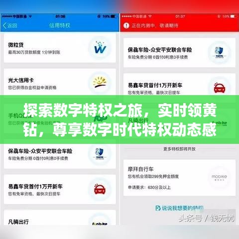 探索数字特权之旅，实时领黄钻，尊享数字时代特权动态感知