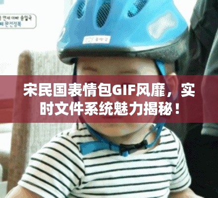 宋民国表情包GIF风靡，实时文件系统魅力揭秘！