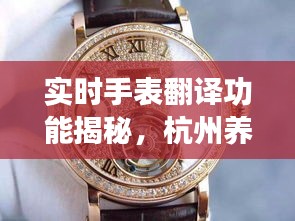 实时手表翻译功能揭秘，杭州养老院价格大解析
