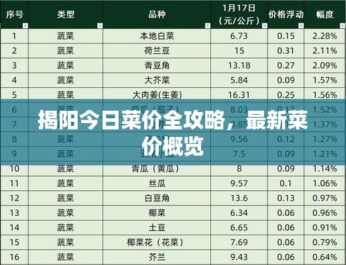 揭阳今日菜价全攻略，最新菜价概览