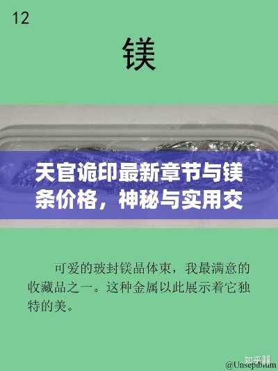 天官诡印最新章节与镁条价格,神秘与实用交汇的探索