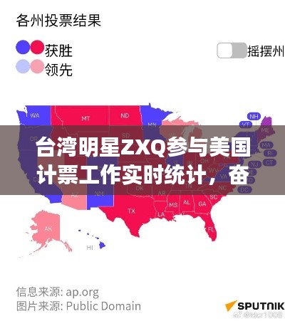 台湾明星ZXQ参与美国计票工作实时统计，奋发同行见证选举进程