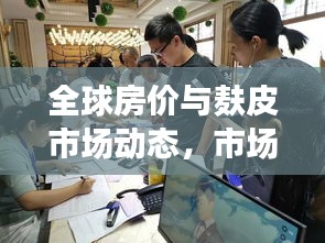 全球房价与麸皮市场动态，市场脉搏与风云变幻