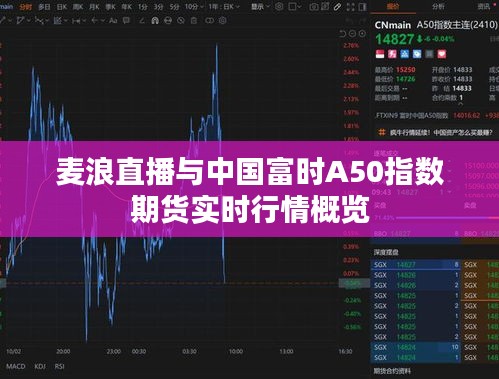 麦浪直播与中国富时A50指数期货实时行情概览