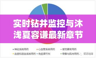 实时钻井监控与沐浅夏容谦最新章节，全面释义、深度解读及风险预警