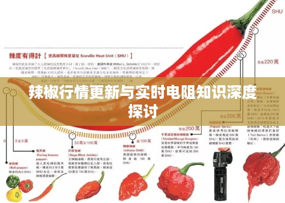 辣椒行情更新与实时电阻知识深度探讨