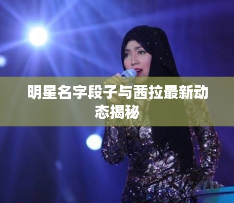 明星名字段子与茜拉最新动态揭秘