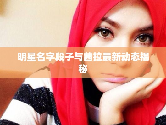 明星名字段子与茜拉最新动态揭秘
