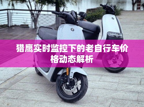 猎鹰实时监控下的老自行车价格动态解析