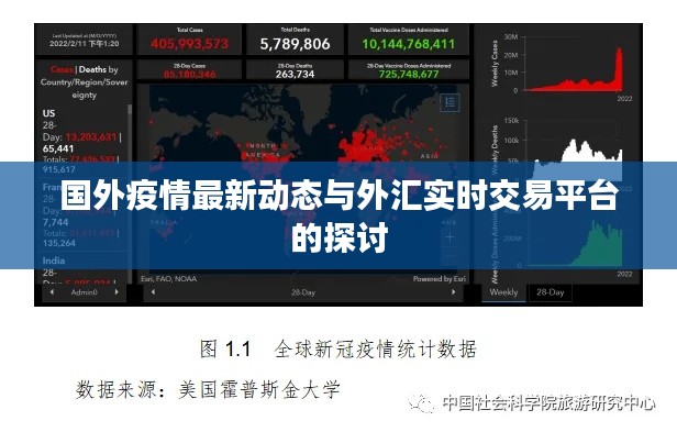 国外疫情最新动态与外汇实时交易平台的探讨