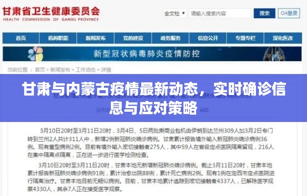 甘肃与内蒙古疫情最新动态，实时确诊信息与应对策略