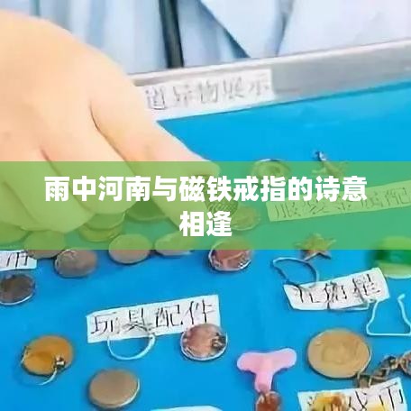 雨中河南与磁铁戒指的诗意相逢