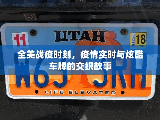 全美战疫时刻，疫情实时与炫酷车牌的交织故事