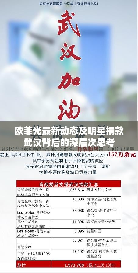 欧菲光最新动态及明星捐款武汉背后的深层次思考