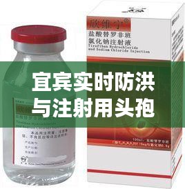 宜宾实时防洪与注射用头孢拉定价格解析